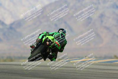 media/Jan-13-2024-SoCal Trackdays (Sat) [[9c032fe5aa]]/Turn 9 Backside (110pm)/